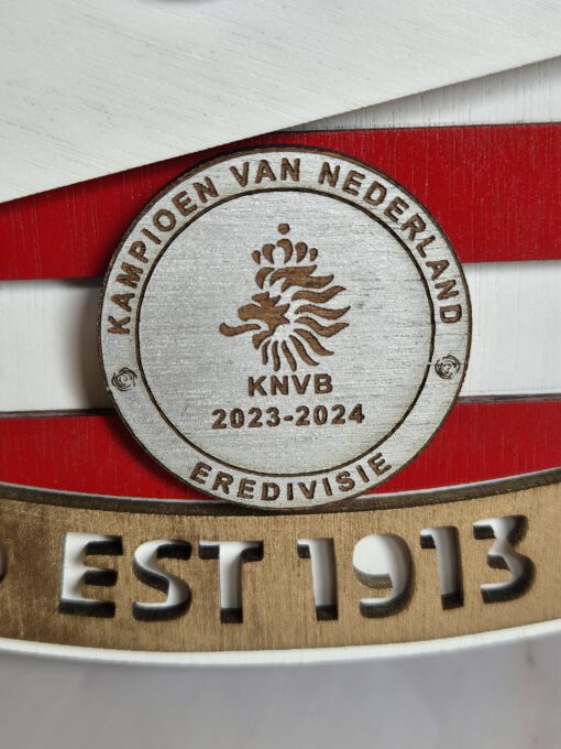 PSV Logo - Image 4
